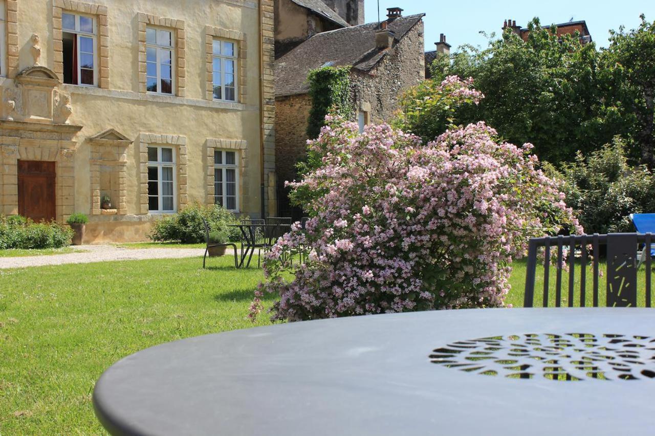 Chateau Ricard Saint-Geniez-d'Olt Ngoại thất bức ảnh